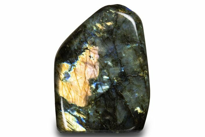 Flashy, Free-Standing Polished Labradorite - Madagascar #325205